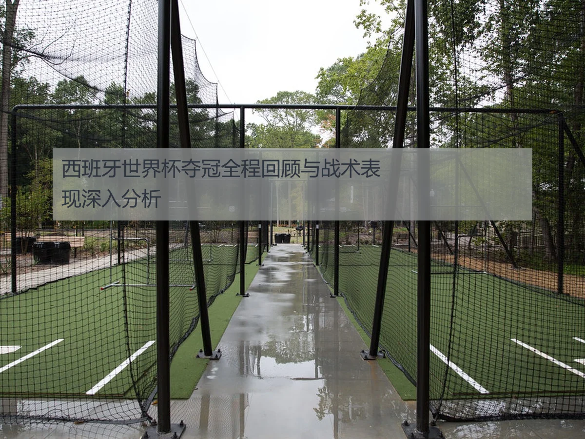 西班牙世界杯夺冠全程回顾与战术表现深入分析